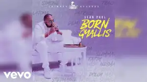 Sean Paul - Born Gyallis